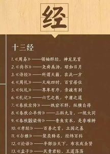 面对挑战：当代社会中国学传承的困境