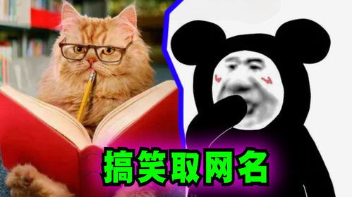 搞笑系（自嘲自嗨）