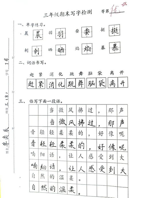 八字开和一字开的标准动作是什么？