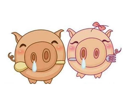 生肖猪的最佳配对属相和最佳配婚属相分别是什么？