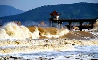 二、 观潮传统的发展脉络及其文学映像