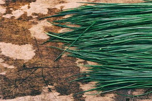 做梦和现实到底差多远？