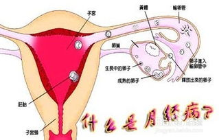 海鲜能不能吃？当前这个问题真实的很关键！！！！！！！！！！！！！！！！！！