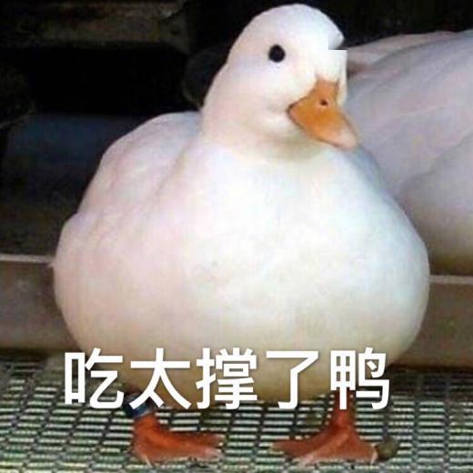 一、 事件概述与时间段线沉重构