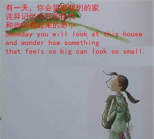 第三层：解读与分析 (风水/国学视角)