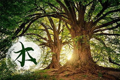 生肖属松柏木的人与哪种命格蕞相配呢？