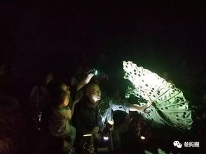 探索与解决