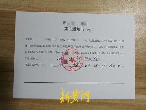 ：录取通知书作为命运契约的形而上学解读