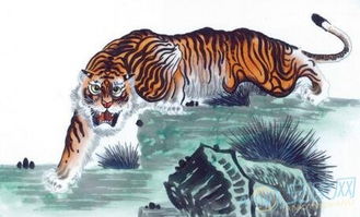 2023年属虎人的运势如何？全年运势详解分析？