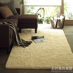 2.1 地毯作为聚合「聚水」功能的关键媒介