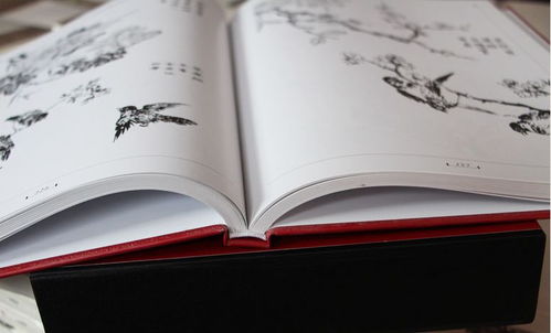 一、 个体成长中的内在滋养：情绪稳定与幸福感