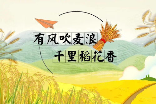 一、“流行”与“经典”之辨析:先辨其范畴再评其价值