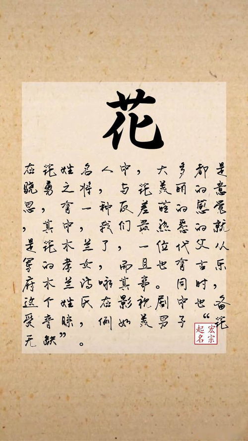 考虑姓氏文化底蕴，彰显个性