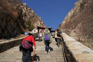 三、 山顶：冷得像冰箱，却还有“热闹”