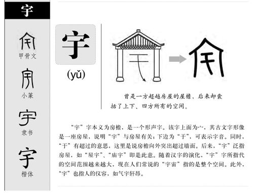 五行属性？那是给那一些认真实的人准备的