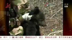 三、风水学角度