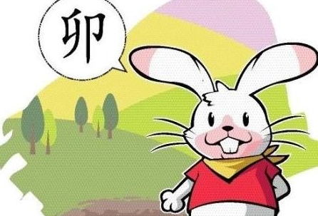 属兔男生性格多样性的具体表现有哪些？