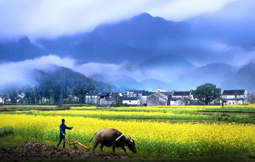 省钱歪门邪道第五招：住黑心民宿