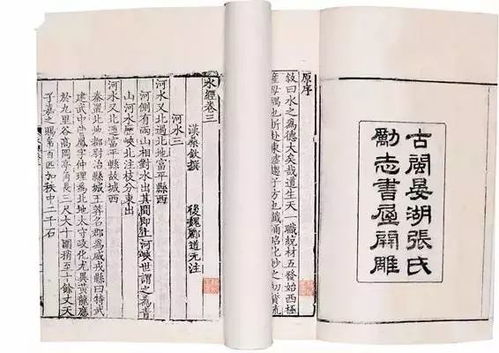 一、那该死的姓氏，你到底是谁啊？！