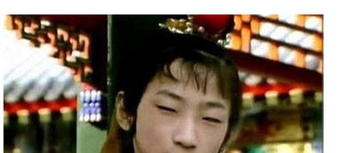 情感纠葛及其社会周边环境意义的更多维解读