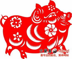 为猪宝宝起名秘诀：生肖与五行之道