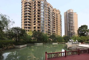 1. 风水大师的专业咨询与现场勘测机制