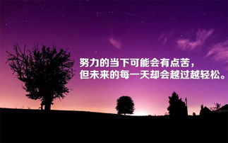唯美语录转化为午夜咒语的机制探析