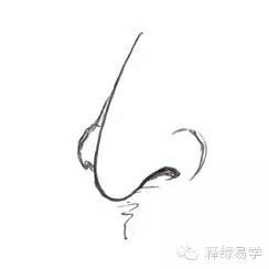 鼻子类型及其对应的性格特点