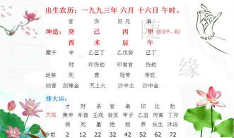 丙火生于未月八字命例，丙生未月如何取格为是？