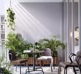 植栽配置及生态平衡构建