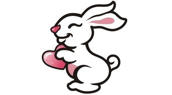 鸡年出生属兔的人每月运势如何？