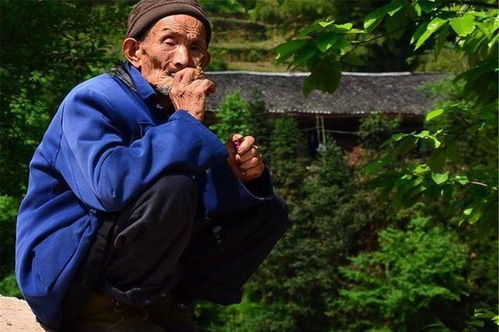 一、  “滴泪屋”的形态学定义与社会功能