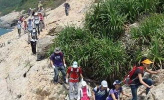 路线选择：迷路才是精髓，越复杂越好