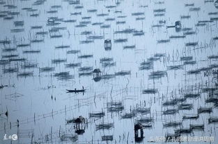 请问如何根据飞黄腾达八字和生辰八字来改写一个？