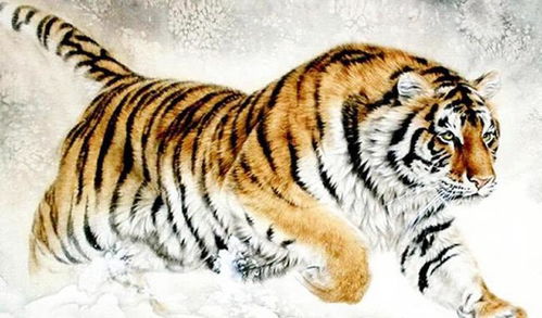 出手大方对应哪个生肖，落落大方又对应哪个生肖？