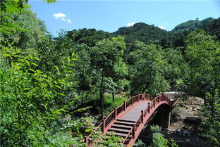 莱芜白龙潭：一个被遗忘的“仙境”