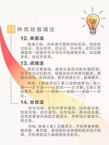 三、洞察本质：透过现象看本质以深化理解