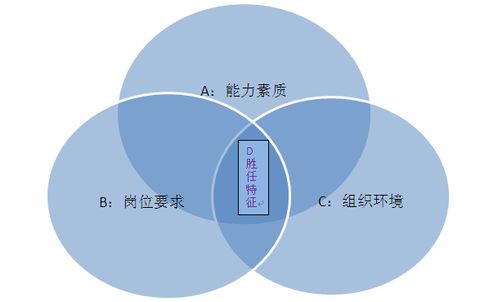 二、 适应性与时间管理的哲学思考