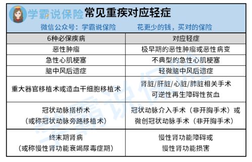 四、 实践建议：从理论到操作的路径构建