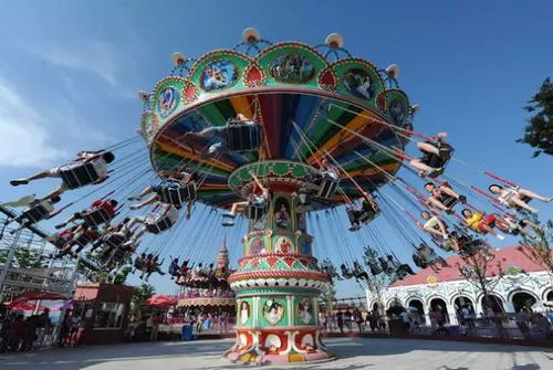 2026年最新交通玄学指南