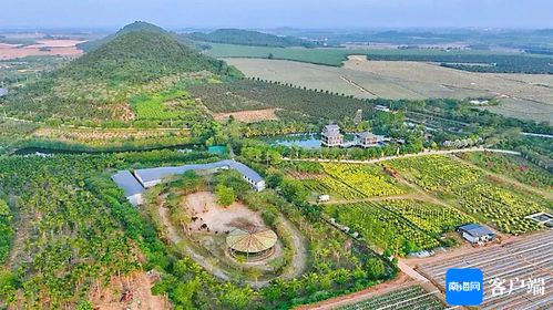 海口东至昌江旅游专线：一场说走就走的“迷之”旅行