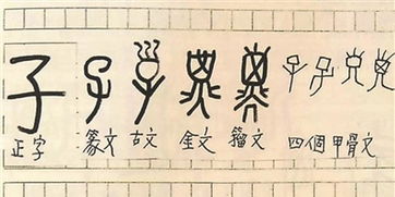 五、“余”字的文化意蕴及命名启示