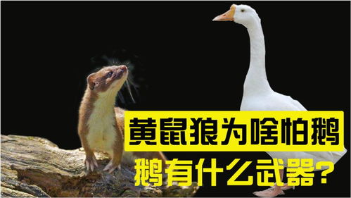 其实吧…名字这玩意儿真没那么简单