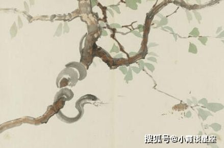 2026年属蛇男性01年出生和13年出生的人每月运势分别如何？