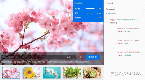 1. 绿植配置的生机化解原理
