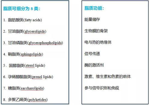 2.1 数学领域的应用：混沌理论
