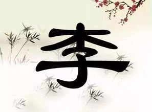 一、 先说说李姓的“江湖”背景——别看它普通，背后暗藏玄机