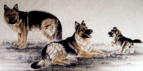 1970年属狗的人2024年运势如何，会有大喜临门吗？