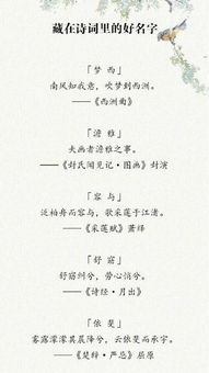 四、文化底蕴内涵：诗词歌赋中的灵感