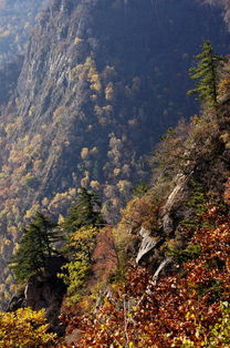 喇嘛沟景区门票优惠攻略
